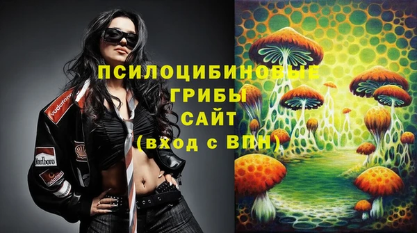 PSILOCYBIN Алексеевка