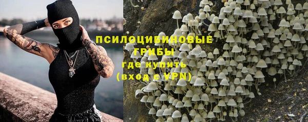 PSILOCYBIN Алексеевка