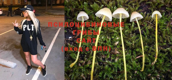PSILOCYBIN Алексеевка