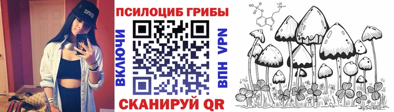 Псилоцибиновые грибы мицелий  Бакал 