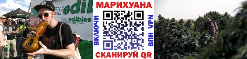Конопля планчик  Бакал 